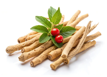 Ashwagandha – Reduce el Estrés y Regula el Cortisol